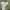 Zegna Luxury Casual Sweater Pria green photo 3