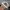 New Era Streetwear Sportswear Hat Pria white photo 4