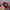 Vintage Sportswear Hat Pria red black photo 5