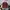 Vintage Streetwear Hat Pria Red