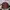 Vintage Streetwear Hat Pria red photo 2