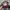 Vintage Streetwear Hat Pria red photo 4