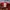 Vintage Streetwear Hat Pria red photo 8