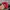 Vintage Streetwear Hat Pria red photo 7