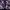Streetwear Skater Cardigan Pria purple black photo 4