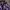 Streetwear Skater Cardigan Pria purple black photo 2