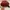 Michael Kors Luxury Backpack Wanita burgundy brown photo 4