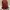 Michael Kors Luxury Backpack Wanita burgundy brown photo 2