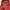 Michael Kors Luxury Backpack Wanita burgundy brown photo 5