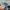 Vintage Streetwear Hat Pria blue photo 4