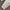 New Era Streetwear Casual Hoody Pria blue photo 3