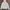 New Era Streetwear Casual Hoody Pria blue photo 1