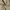 Casual Casual pants Pria khaki photo 6