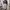 Nike Vintage Y2K Sweatpants & Joggers Pria gray photo 2