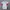 Nike Sportswear Jersey Pria multicolor photo 1