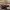 Fendi Luxury Minimalist Tote bag Wanita multicolor brown photo 4