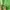 Nike Sportswear T-shirt Kids Green