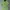 Nike Sportswear T-shirt Kids Green