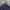 Lacoste Casual Polo shirt Pria purple photo 2
