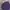 Lacoste Casual Polo shirt Pria purple photo 1