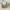 Prada Vintage Y2K Shoulder bag Wanita cream photo 4