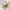 Prada Vintage Y2K Shoulder bag Wanita cream photo 2