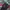 MLB Vintage Y2K Hat Pria red black photo 1