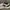 Lotto Sport Italia Casual Sneakers Pria black gray photo 3