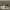 Lotto Sport Italia Casual Sneakers Pria black gray photo 1