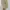 Onitsuka Tiger Casual Casual shoe Pria white photo 6