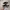 Converse Casual Sneakers Pria black photo 1