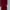 Coquette Culotte Wanita burgundy red photo 1