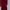 Coquette Culotte Wanita Burgundy Red