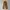 Uniqlo Vintage Casual Casual trouser Wanita brown photo 1