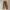 Uniqlo Vintage Casual Casual trouser Wanita brown photo 2