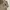 Vintage Casual Track jacket Pria tan photo 2