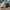 Vintage Streetwear Hat Pria gray photo 2