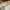 GAP Casual Boyfriend jeans Wanita white photo 2