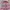 Lolita Coquette Mini skirt Wanita pink photo 2