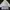 Casual Windbreaker Pria white navy photo 1