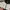 Helly Hansen Gorpcore Sportswear Track jacket Pria white black photo 6