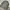 Ellesse Sportswear Casual Track jacket Pria gray photo 3