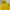 Ellesse Sportswear Casual Hoody Pria yellow photo 3