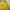 Ellesse Sportswear Casual Hoody Pria yellow photo 1