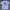 Made in USA Vintage Sportswear T-shirt Pria white photo 1