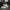 Adidas Luxury Casual Sneakers Pria White Gray