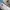 New Balance Streetwear Casual Sneakers Pria white gray photo 2