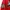 Johnny Blaze Vintage Y2K Jumper Pria red photo 3