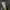 The North Face Gorpcore Sportswear Track jacket Pria black photo 1