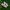 Adidas Casual Sneakers Pria multicolor photo 1
